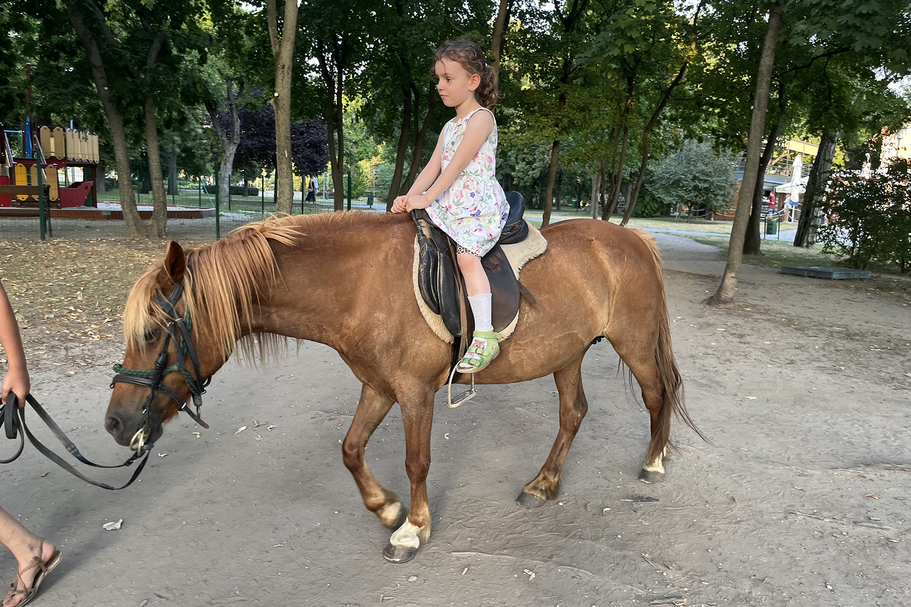 HorseyDays Lovas Tábor